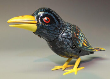 Kohler (GNK) Singing Black Bird